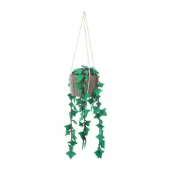 KidsDepot Hangplant Hedera Felix