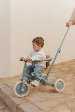 Little Dutch 4-in-1 Driewieler / Loopfiets Safari Dreams