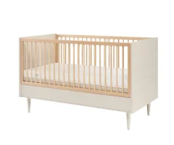 Pinio Doorgroeiledikant Petite Champagne 70 x 140