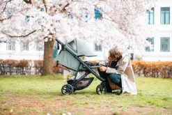 Thule Buggy Spring 2 Mist Green on Black